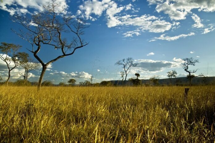O Projeto de Lei (PL) 364/2019, que flexibiliza o conceito de área rural consolidada