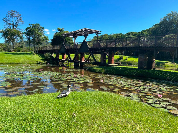 Timbó recebe o Desafio Mundial de Natureza Urbana