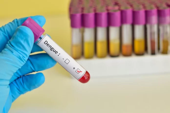 Estado registra 49 óbitos por dengue em 2024