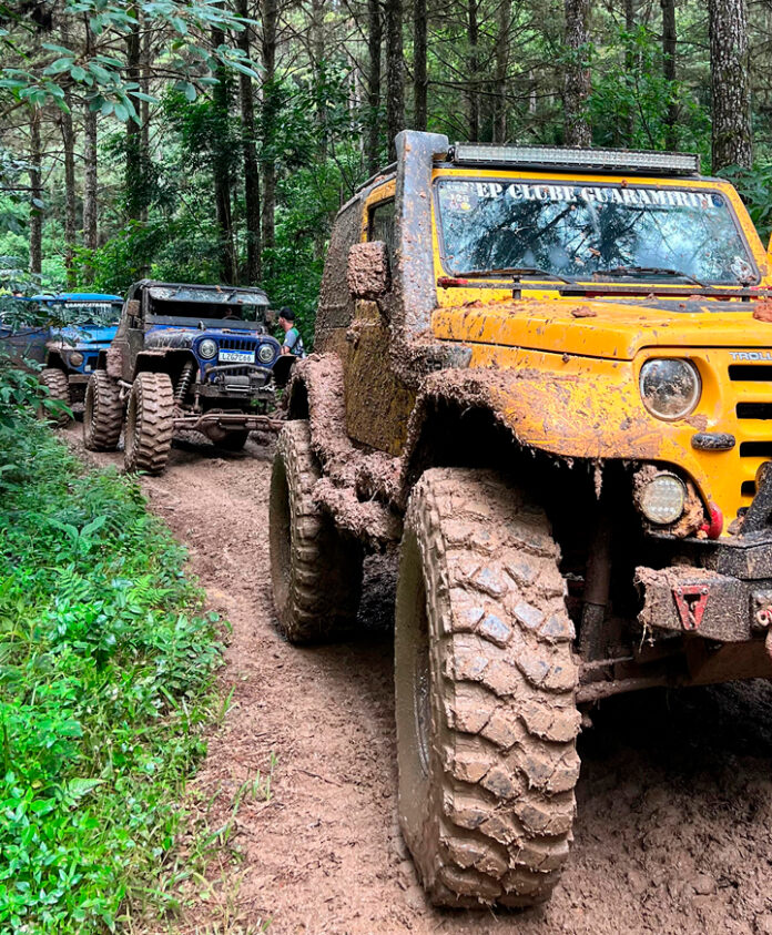 1BENEDITO-NOVO---TRILHÃO-(3)