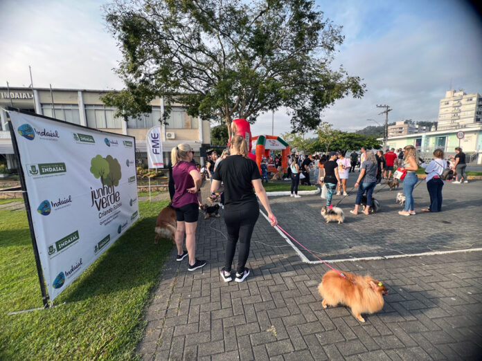 Participe da Cãominhada em Indaial e promova o bem-estar animal!
