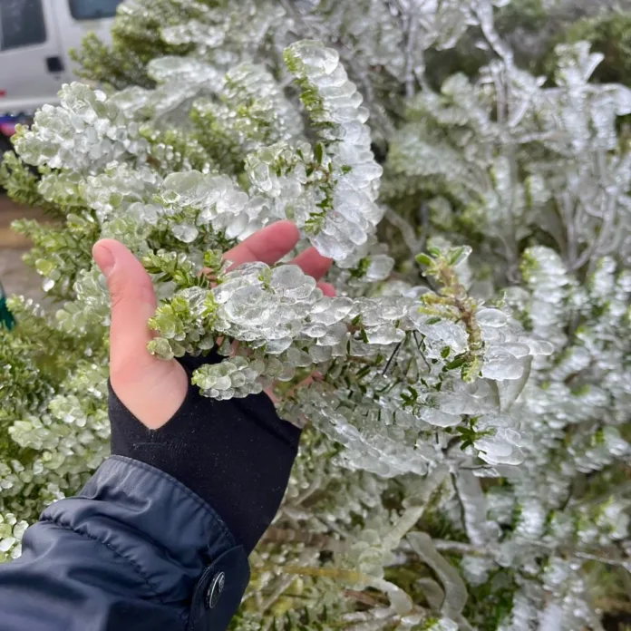Neve foi registrada pela primeira vez em Santa Catarina em 2025