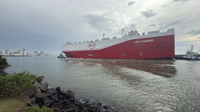 Navio BYD Shenzhen chega ao Porto de Itajaí com mais de 7 mil carros chineses