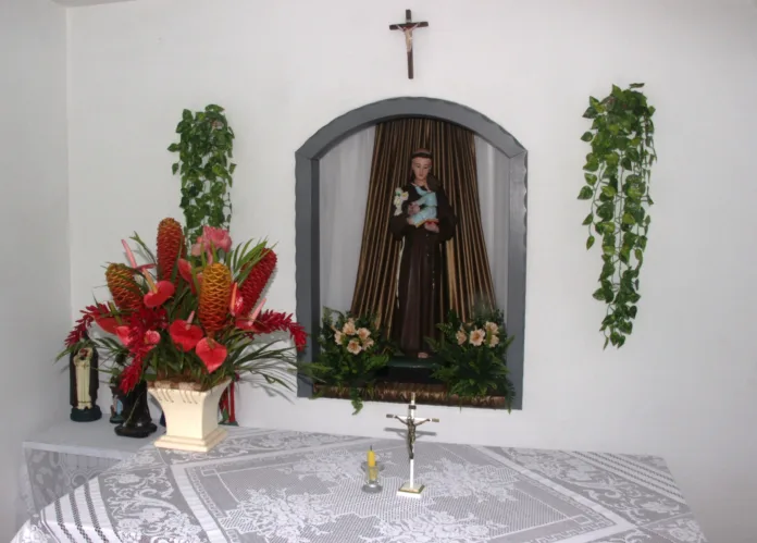 Celebração da Solidariedade na missa em louvor a Santo Antônio