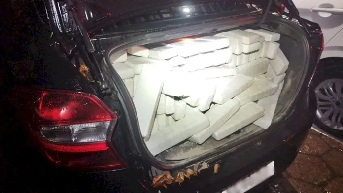 apreensao-de-maconha Ações da Polícia Militar apreendem mais de 850 kg de drogas em Santa Catarina