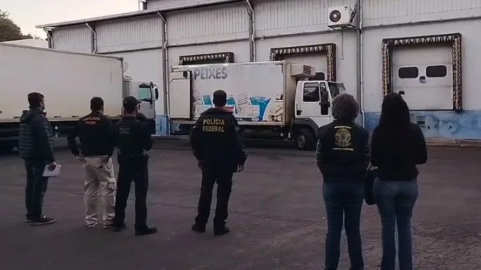 c5b4feec-6ab2-4ae9-acf4-5dcdb98fa5d6 PF combate o comércio ilegal de pescados em sete estados brasileiros