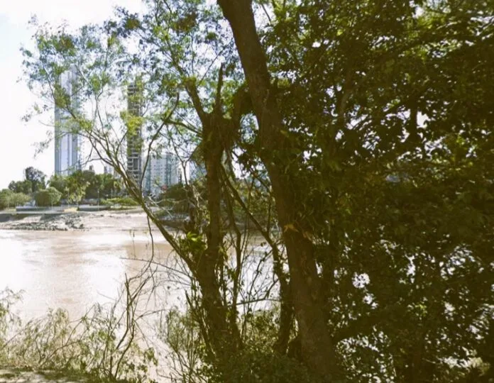 Corpo de mulher é encontrado no rio em Blumenau