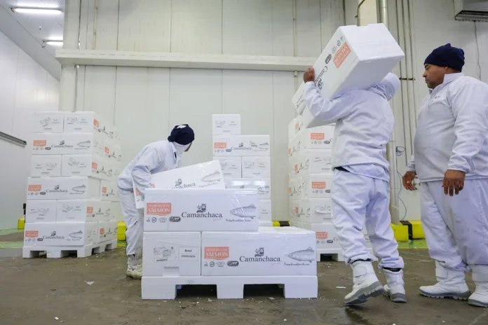 industria-de-pescador-Frumar-6843 Sine Santa Catarina oferece mais de 8 mil vagas de emprego em todo o estado