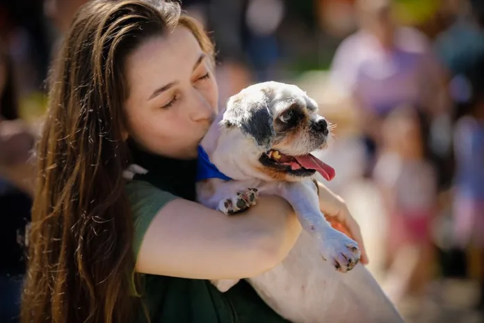 9b3de3a4466a5ee4a96b105ac6e14219 Mais de 700 animais atendidos no programa de castração gratuita da Prefeitura de Blumenau