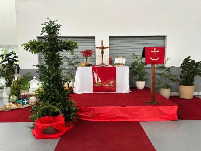 Essência da gratidão: um ato de fé e resistência espiritual