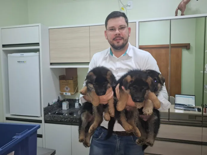 Julho Dourado: proteja seu pet das zoonoses