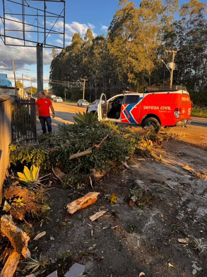 Timbó enfrenta impacto mínimo de ciclone extratropical: um caso de queda de árvore