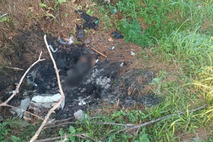 Cachorro é incendiado e fogo atinge vegetação