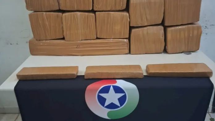 Mulher é presa com 210 kg de maconha em Joinville