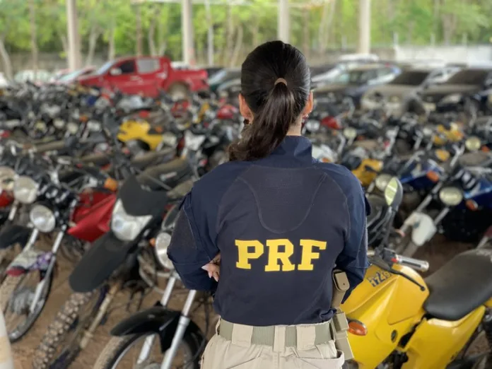 PRF promove leilão de mais de 2 mil veículos apreendidos ou abandonados em rodovias federais de SC