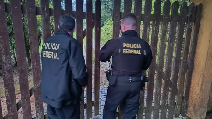 PF, IBAMA e IMA intensificam combate a crimes ambientais em Santa Catarina