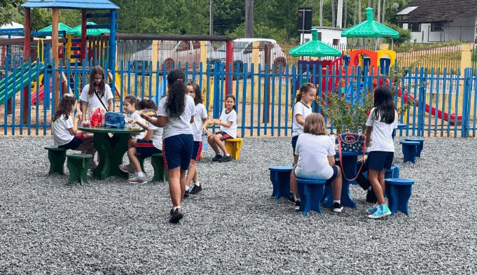 Aulas retornam nesta terça-feira nas escolas municipais e Unidades Pré-Escolares de Timbó