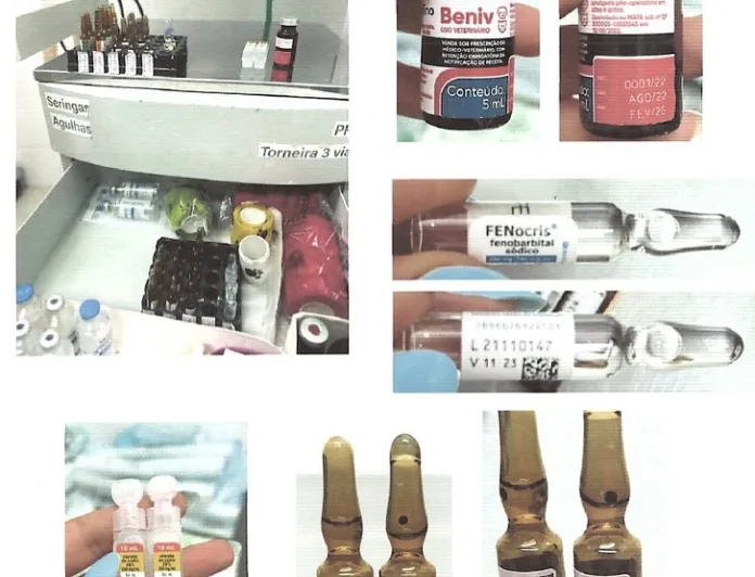 Proprietário de hospital veterinário em Blumenau é indiciado por maus-tratos a animais e crimes contra consumidores