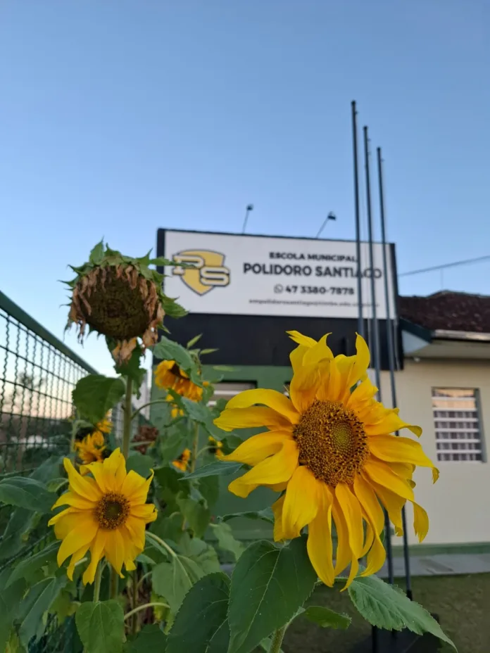 Escola Polidoro Santiago: nove décadas de histórias que transformam vidas
