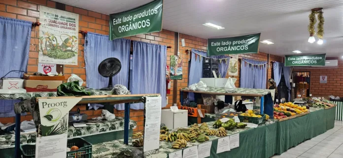 A imagem mostra o interior de uma feira de produtos orgânicos. O ambiente possui paredes de tijolos aparentes e cortinas azuis.