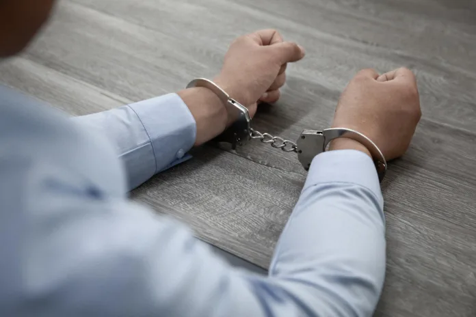 MPSC denuncia homem por estupro de vulnerável, pornografia infantil e zoofilia