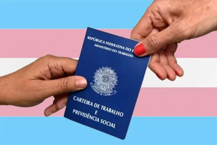 MPT recomenda que Governo de SC implemente políticas de inclusão para pessoas trans no mercado de trabalho