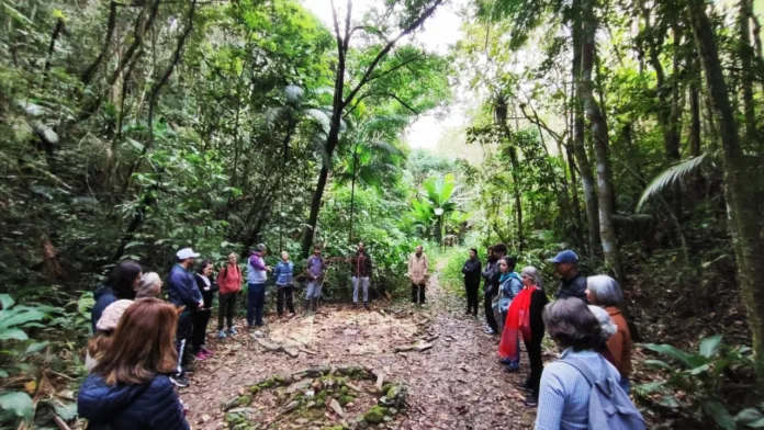 Projeto Água Viva: quando a comunidade do Encano planta futuro nas águas do Vale