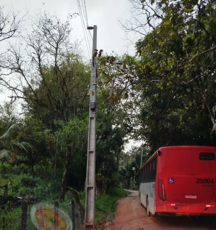 Árvore cai sobre fiação elétrica e interdita totalmente a Tifa Colley, em Timbó