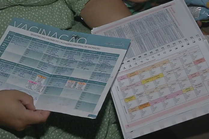 Prefeitura de Indaial implanta projeto piloto da Declaração de Vacinação Online