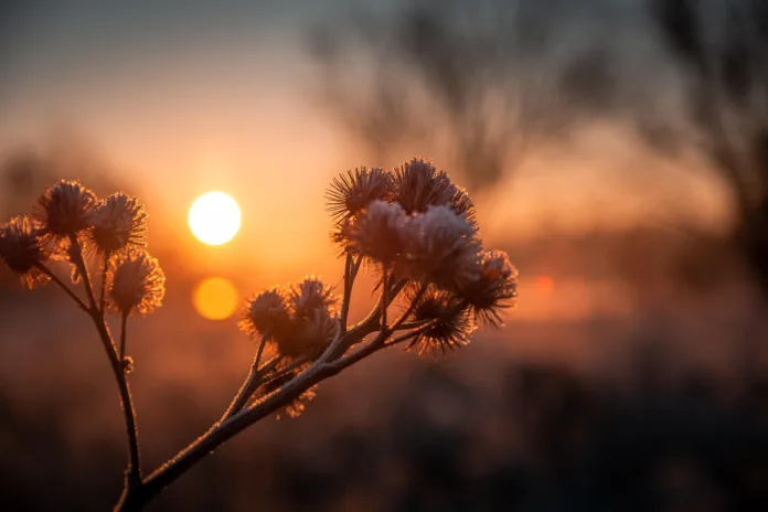 Ar frio e seco chega à SC: semana terá sol, amanhecer gelado e geada