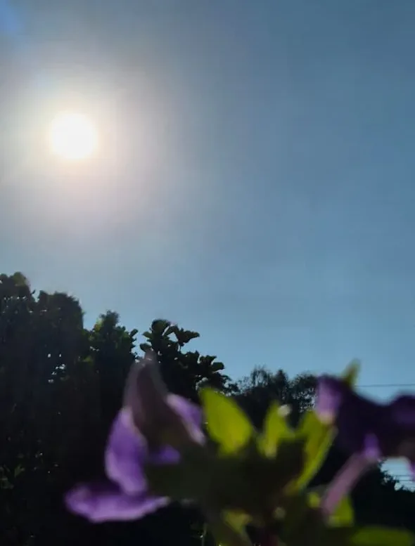 Sol volta a aparecer em SC: veja até quando o tempo firme deve durar