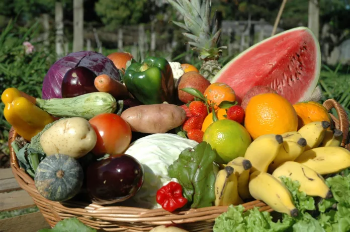 Dia Mundial da Alimentação trabalho da Epagri leva comida de qualidade à mesa dos catarinenses