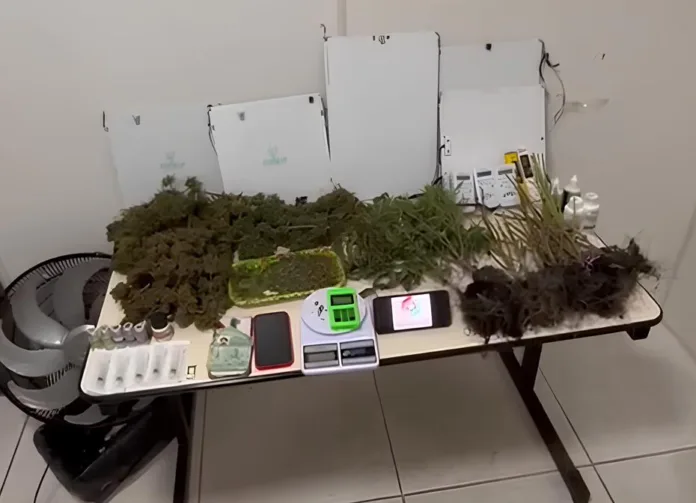 Dois homens são presos por tráfico de drogas em Blumenau; um também é acusado de violência doméstica