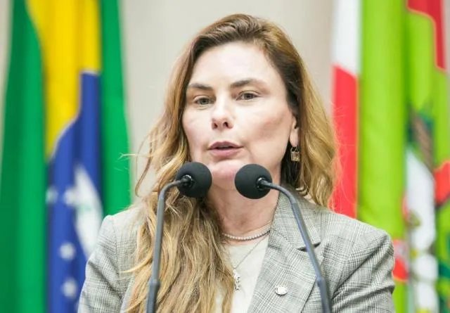 Paulinha apresenta projeto de lei para coibir bebidas adulteradas em Santa Catarina