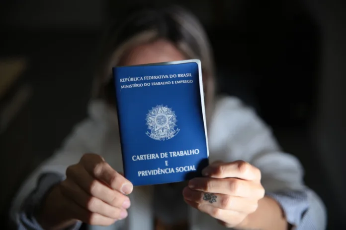 Sine oferece 8.857 vagas de emprego em Santa Catarina Por Vanessa Karine Menegassi