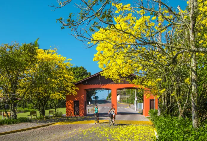 Passeio Ciclístico Super Liga promete tarde de lazer, movimento e inspiração
