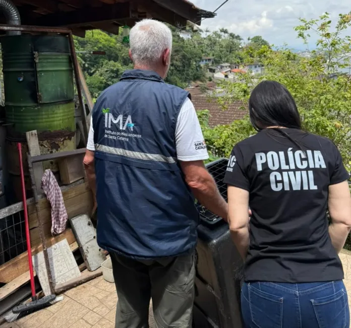 Polícia Civil prende homem por uso de documento falso e maus-tratos a macaco-prego em Blumenau