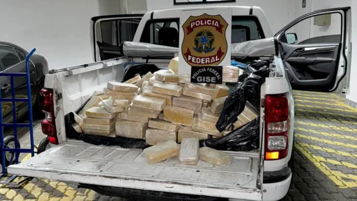 PF apreende 613 kg de cocaína escondidos em bunker subterrâneo dentro do galpão de uma empresa em Blumenau