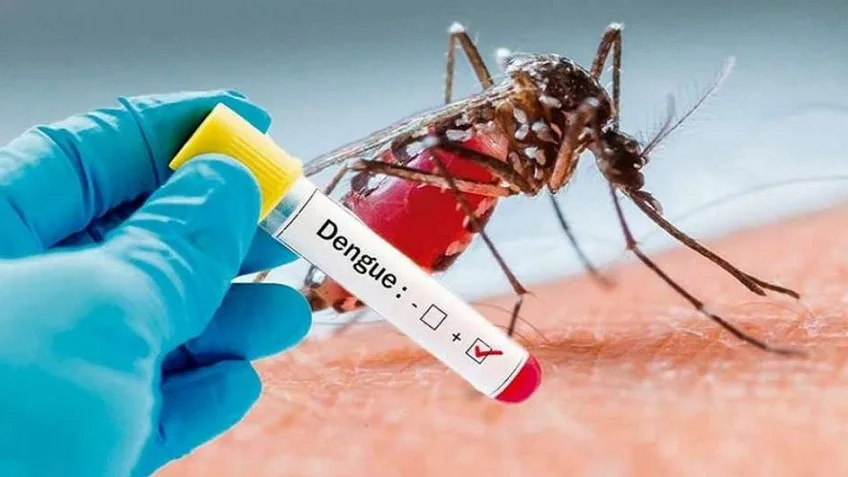 Indaial reforça alerta para prevenção da dengue após registro de 953 focos