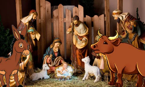 Teatro Boi e o Burro no Caminho de Belém encanta Rodeio