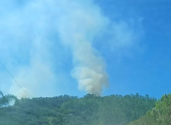 Atualização: Incêndio florestal de grandes proporções é controlado em Apiúna