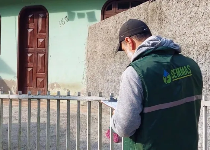 Prefeitura de Blumenau alerta sobre casos de esporotricose em animais da cidade