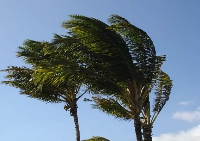 Previsão do tempo: frente fria derruba temperaturas e traz ventos fortes a Santa Catarina