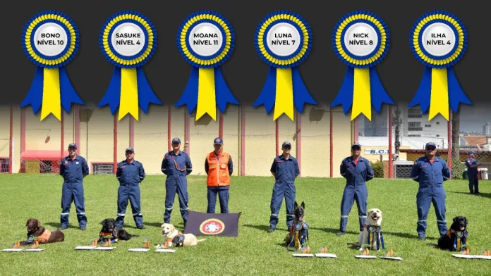 Corpo de Bombeiros Militar de Santa Catarina tem os cães de resgate mais preparados do país para atuar em cenários extremos