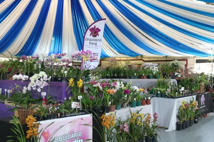 Timbó recebe 40ª Exposição e Mercado de Orquídeas