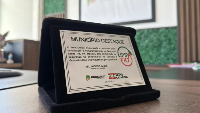 PROCON/SC vai reconhecer cidades que participarem do “Limpa Fio”