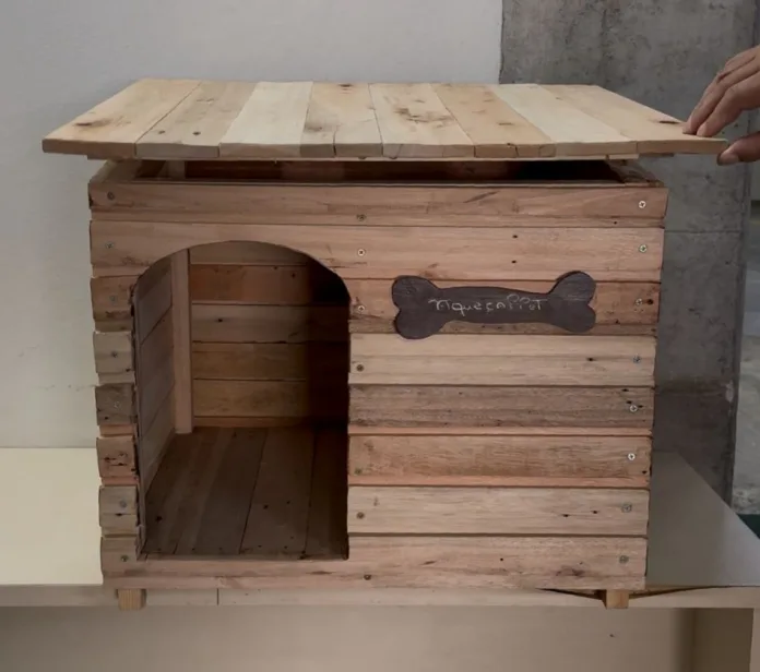 Prefeitura fecha parceria e apenados constroem casinhas comunitárias para cães de Blumenau