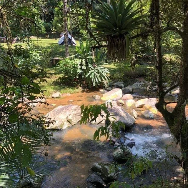 Rio dos Cedros apresenta Plataforma de Inteligência Turística para fortalecer o setor
