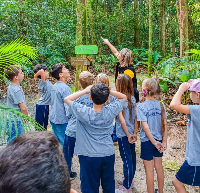 Entre trilhas, girassóis e descobertas, crianças aprendem a cuidar do futuro