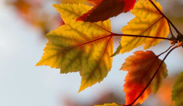 Primeiro fim de semana do outono ainda terá características de verão em Santa Catarina